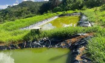 Imagem 5: Vendo Fazenda na Pedra Fundamental 60.000m² (06 hectares