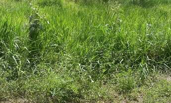 Imagem 3: Terreno / lote Terreno / lote com venda por R$18.000