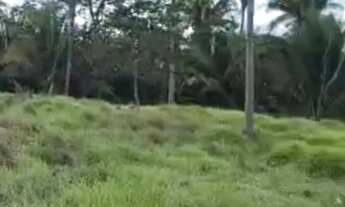 Imagem 6: Vendo uma excelente chácara de 20milm2