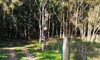 Imagem 4: Vende linda chácara São José pinhais ou troca imovel matinhos caioba