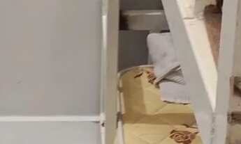 Imagem 5: Alugo Apartamento Mobiliado Vista dos Jatobás Parque Mosaico