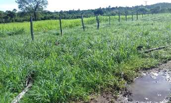 Imagem 4: Excelente propriedade com 306 hectares a 34 km de Cocos - BA