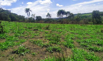 Imagem: Chácara de 1400m² com 50 de entrada em