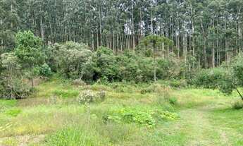 Imagem 3: Lindo terreno em Rio Rufino