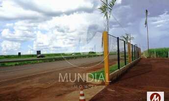 Imagem 2: Terreno (terreno normal