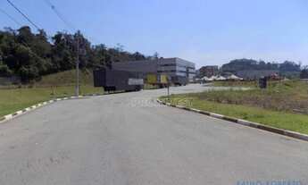 Imagem 4: AREA - PARQUE DOM HENRIQUE - SP