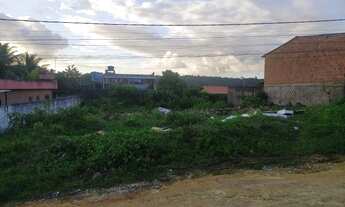 Imagem 3: 2 terreno juntos