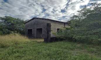 Imagem 7: Sítio em CAUCAIA-CE a 2 kms da aço cearense e BR 222