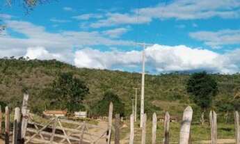 Imagem 2: Excelente Fazenda Próximo a Mundo Novo