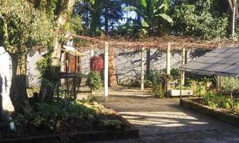 Imagem 6: Vendo uma casa dois pisos em ivoti-rs