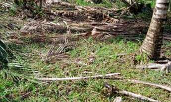 Imagem 3: Vendo um terreno