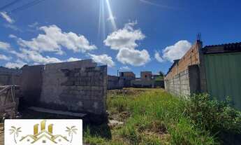 Imagem 2: Terreno Murado no Parque Ecológico