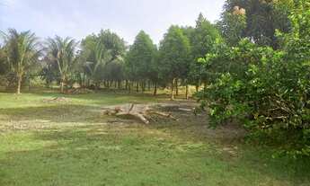 Imagem 4: Vendo um Sítio no Rio Preto Da Eva KM 21