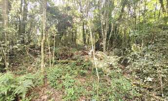 Imagem 6: Terreno na cidade de Morro Reuter-RS REF: 2303