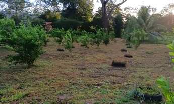 Imagem 3: Chácara na beira do asfalto 20 km de Parauapebas!