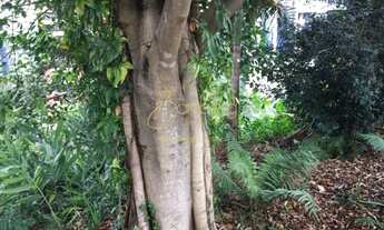 Imagem 3: Terreno em ótima localização. Confira!