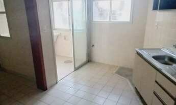 Imagem 7: FLORIANóPOLIS - Padrão - Agronômica