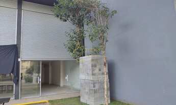 Imagem 4: Loja localizada próxima à da Giovanni Gronchi