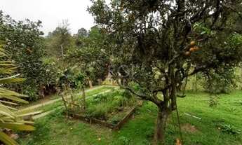 Imagem 6: Porto Alegre - Terreno Padrão - Hípica