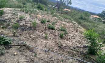 Imagem 2: Quemada velha na estrada de Cachoeira Grande