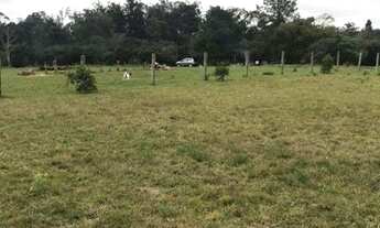 Imagem 2: Vendo chácara em gravatai