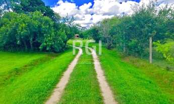 Imagem 2: Porto Alegre - Sítio - Lami