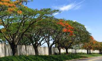 Imagem 5: Terreno - Centro - Jaguariúna