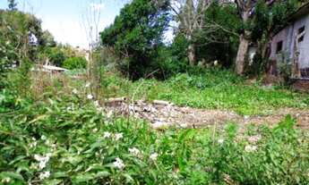 Imagem: Porto Alegre - Terreno Padrão - Camaquã