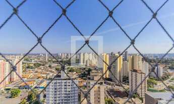 Imagem 7: Apartamento para Aluguel - Jardim Marajoara , 3 Quartos, 80 m2