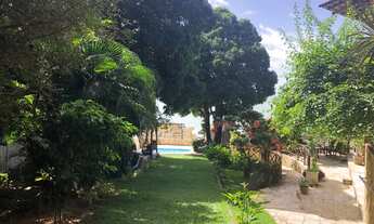 Imagem: Apartamento para aluguel com 35 metros quadrados