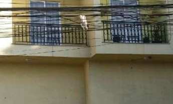 Imagem 2: Apartamento para venda tem 57 metros quadrados com 2 quartos em Comendador Soares - Nova I