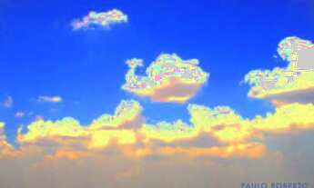 Imagem 5: APARTAMENTO - MORUMBI - SP