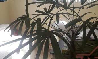 Imagem 6: Cobertura Mobiliada à venda com 03 dormitórios