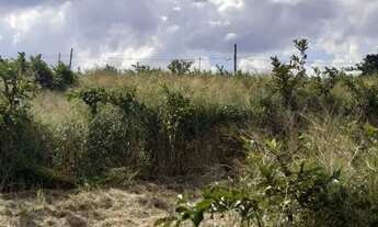 Imagem 4: SÍTIO - MACUCO - SP