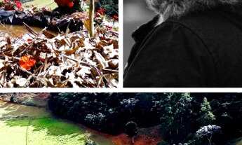 Imagem: Abaixei de 49 pra 35 mil sou proprietário