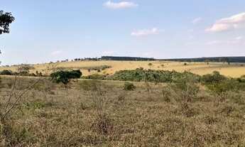 Imagem 5: Fazenda 97 Alqueires, Região de Botucatu-Sp