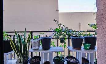 Imagem 4: Apartamento para Aluguel - São Cristóvão, 2 Quartos, 73 m2