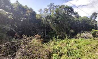 Imagem 7: Terreno na cidade de Morro Reuter-RS REF: 2303