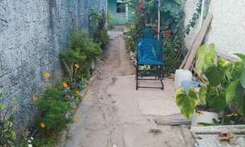 Imagem 2: Casa em pau amarelo