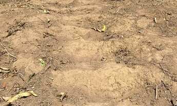 Imagem 4: Vendo Terreno em Porto Dourado/Serra - 1450m2