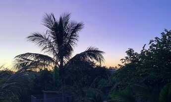 Imagem 2: Chácara em Valinhos