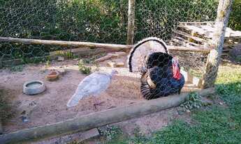 Imagem 5: Terreno em Condomínio Rural, Bairro Timbé em Tijucas/SC