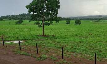 Imagem 4: Linda fazenda em Nova xavantina MT