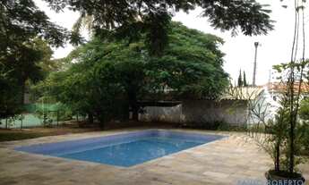 Imagem 5: CASA ASSOBRADADA - MORUMBI - SP