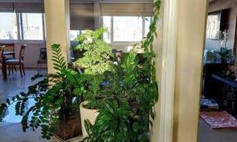 Imagem 5: APARTAMENTO - HIGIENÓPOLIS - SP