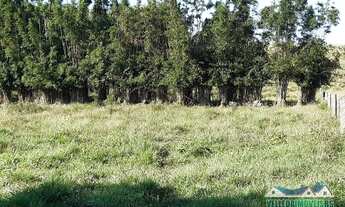 Imagem 5: Sítio em Águas claras 3 hectares somente 4 km do asfalto