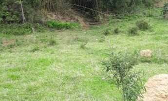 Imagem 4: 1 alqueires de terra