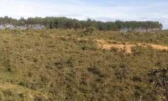 Imagem 4: Terreno 1000 m2 Terreno / lote com venda por R$30.000