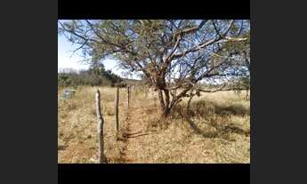 Imagem 4: Vendo de chacara 8 hectares