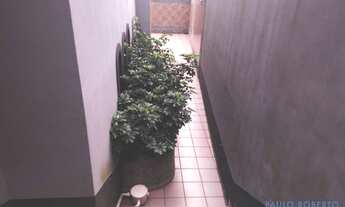 Imagem 5: CASA ASSOBRADADA - BUTANTÃ - SP